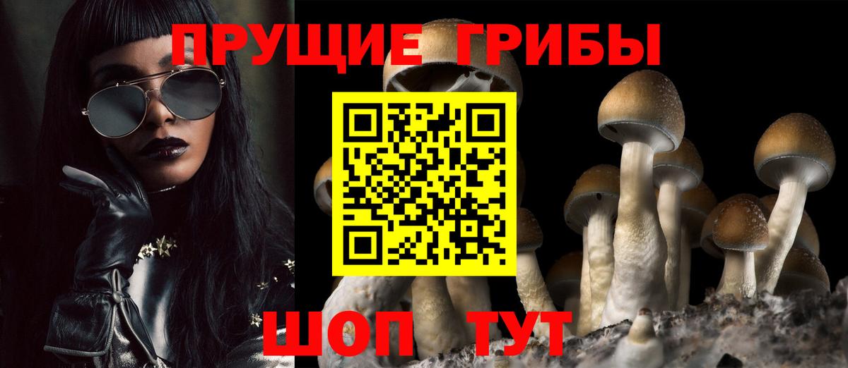 цены   Вход с VPN  Кольчугино  Галлюциногенные грибы мухоморы 