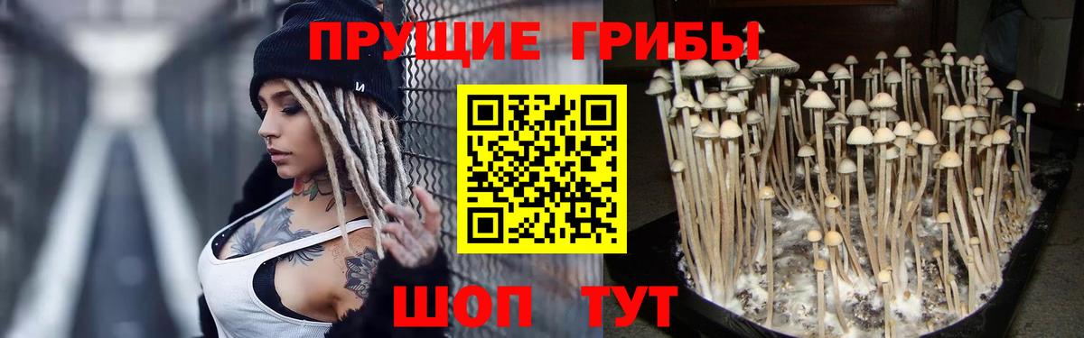 Галлюциногенные грибы ЛСД Кольчугино